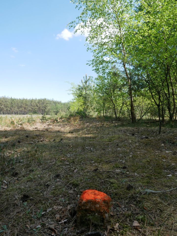 Działka budowlana Adamowo. Zdjęcie 10