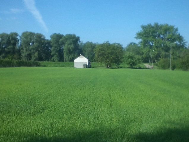 Działka rolno-budowlana Ostrówek. Zdjęcie 1