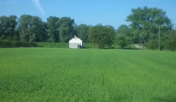 Działka rolno-budowlana Ostrówek