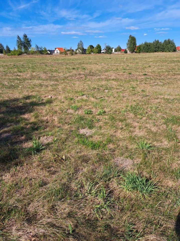 Działka budowlana Wielbark, ul. Akacjowa. Zdjęcie 4