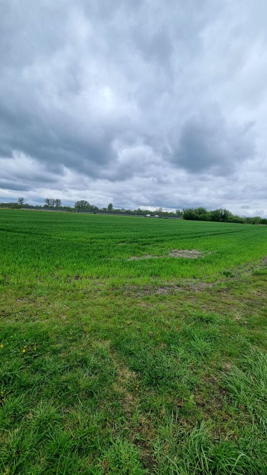 Działka rolna Żuków. Zdjęcie 6