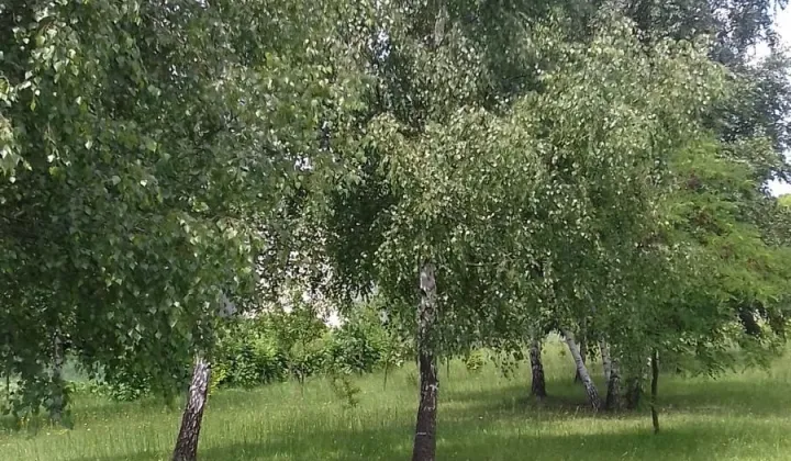 Działka budowlana Kłobuck, ul. Zakrzewska