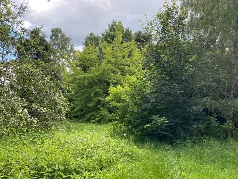 Działka budowlana Głowno Swoboda, ul. Swoboda. Zdjęcie 5