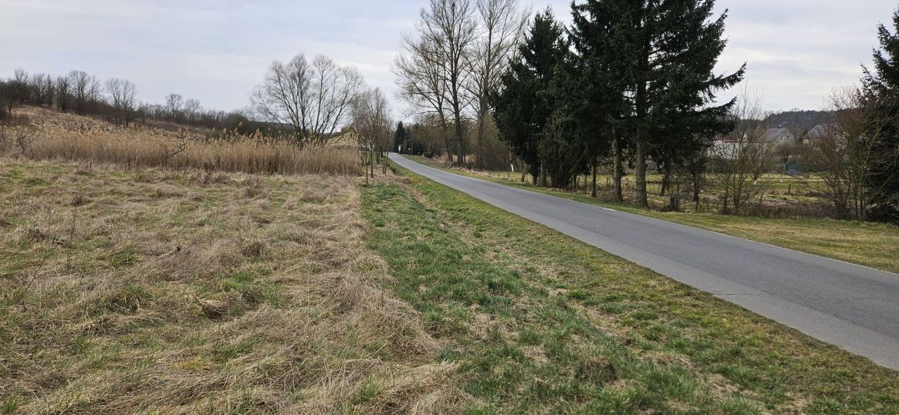 Działka budowlana Gostchorze. Zdjęcie 6