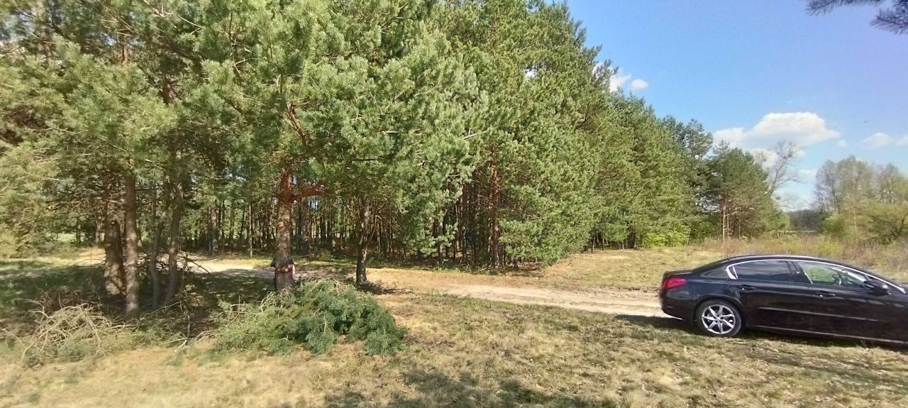 Działka rolna Poręby Dymarskie. Zdjęcie 2