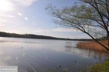 Działka rekreacyjna Grzybowo. Zdjęcie 2