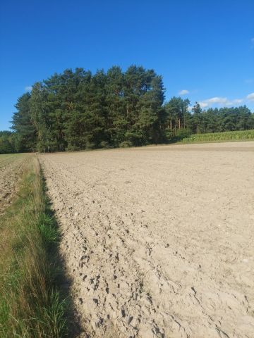 Działka rolna Chruśnice. Zdjęcie 1