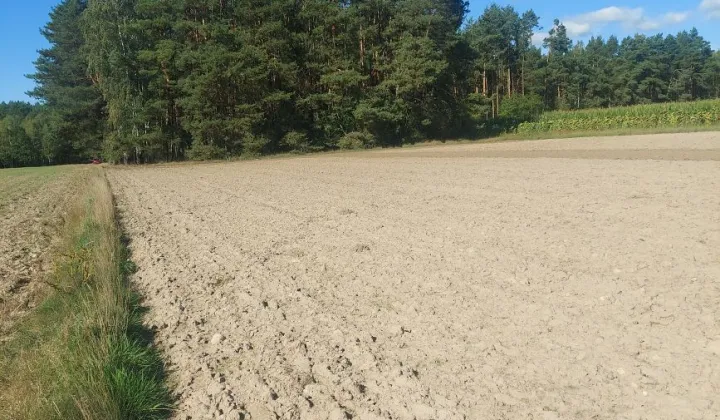 Działka rolna Chruśnice