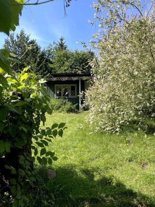 Działka rod Warszawa Mokotów. Zdjęcie 7