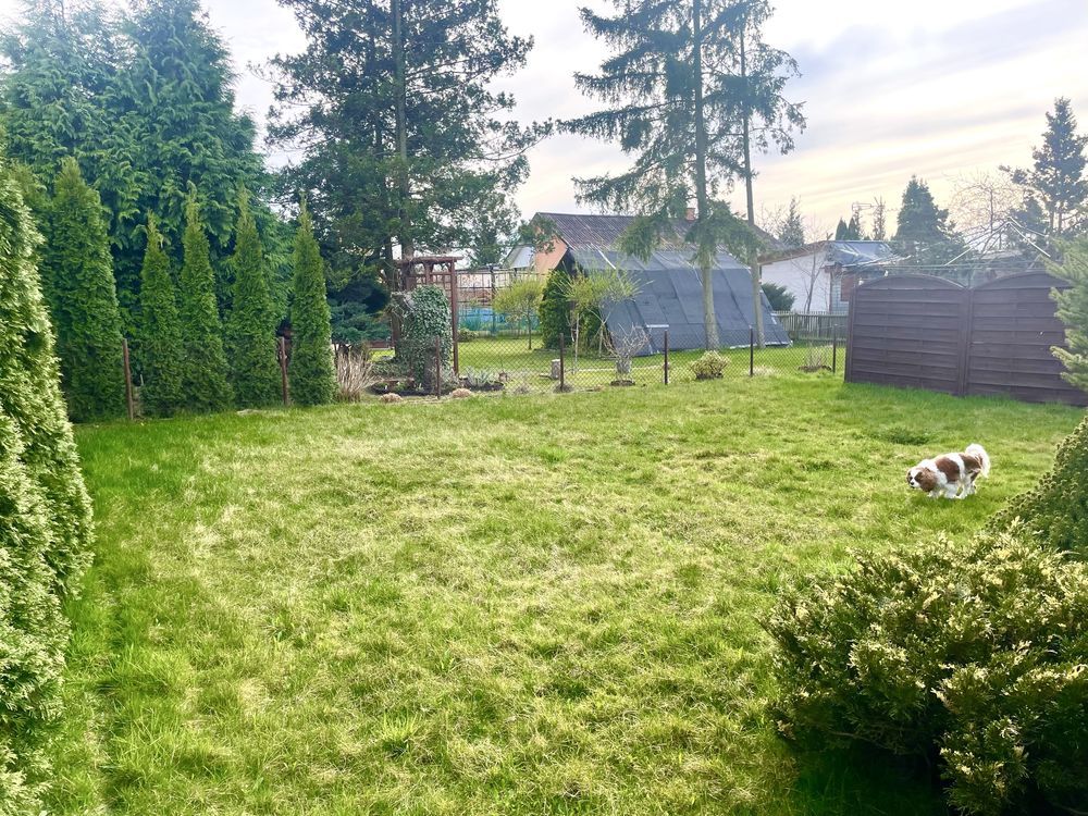 Działka rod Szałe. Zdjęcie 2