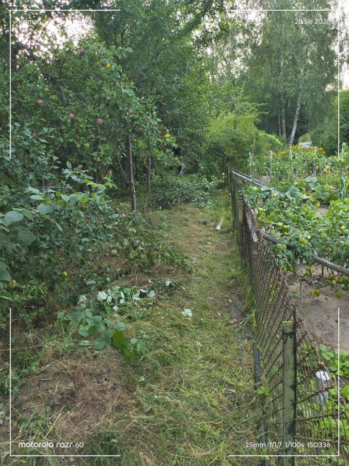 Działka rod Radom, ul. Wincentego Witosa. Zdjęcie 2