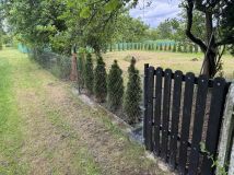 Działka rod Wieluń, ul. Elizy Orzeszkowej. Zdjęcie 4