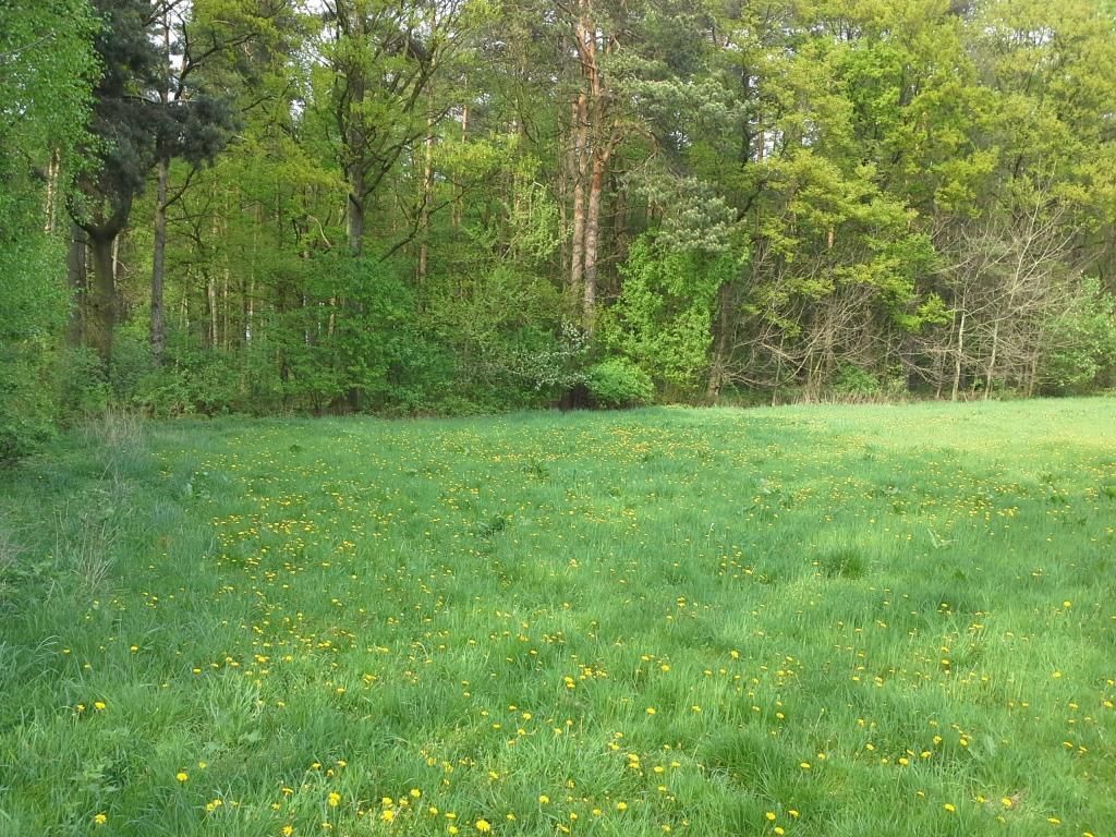 Działka budowlana Garbówek. Zdjęcie 7