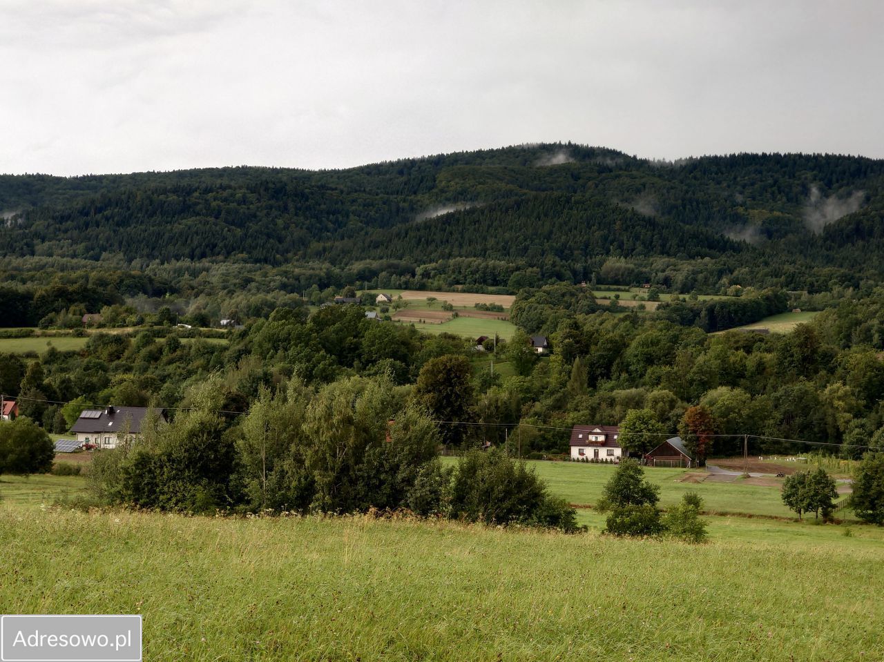 Działka budowlana Przenosza. Zdjęcie 12