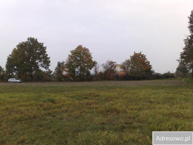 Działka siedliskowa Gutowo. Zdjęcie 4