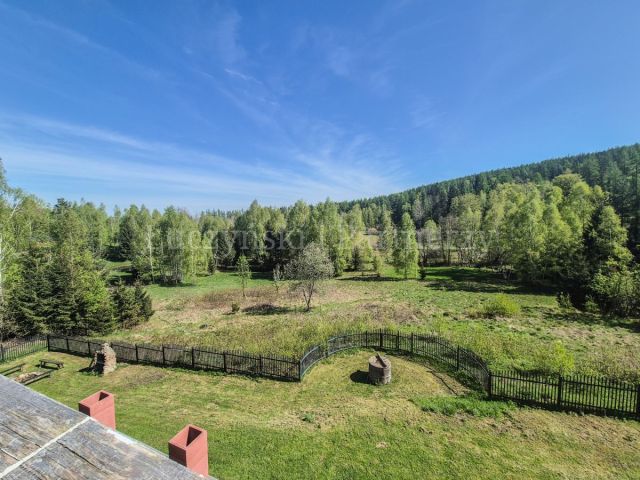 dom wolnostojący, 13 pokoi Borowice. Zdjęcie 1