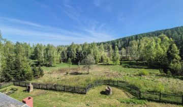 dom wolnostojący, 13 pokoi Borowice