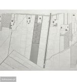 Działka rolno-budowlana Skrzynki. Zdjęcie 2