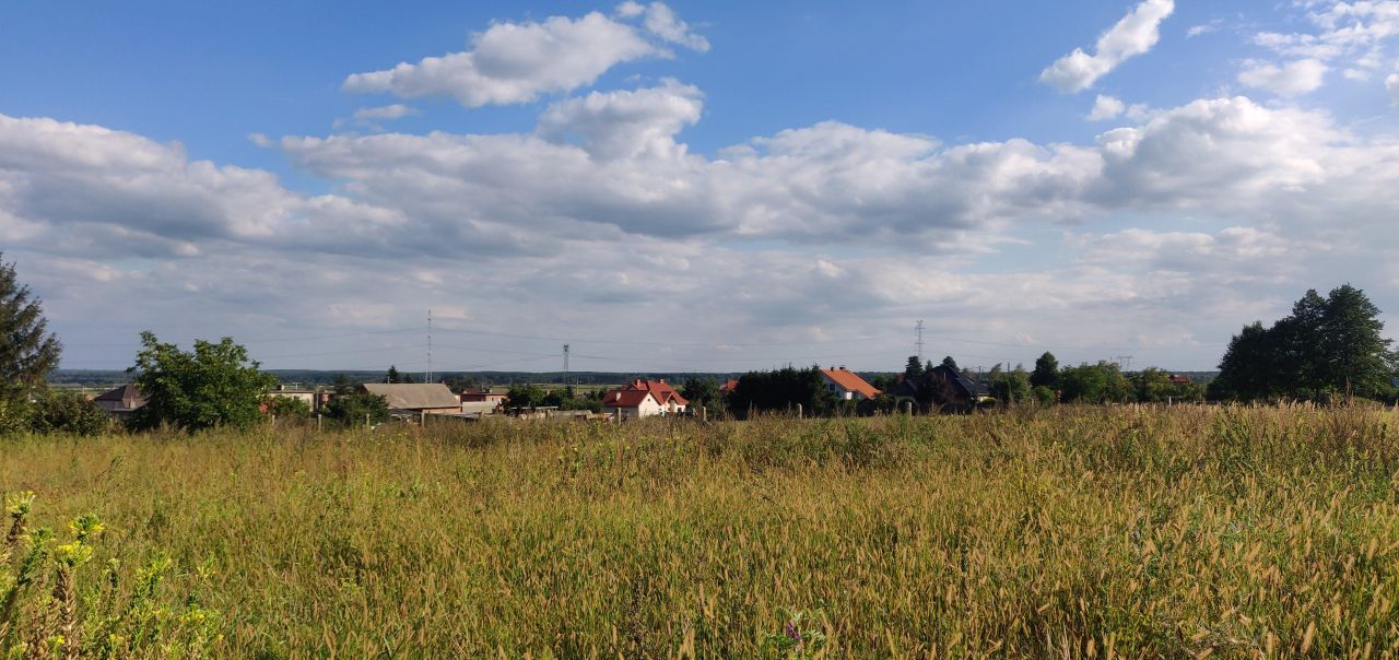 Działka budowlana Przygodzice, ul. Wincentego Witosa. Zdjęcie 10
