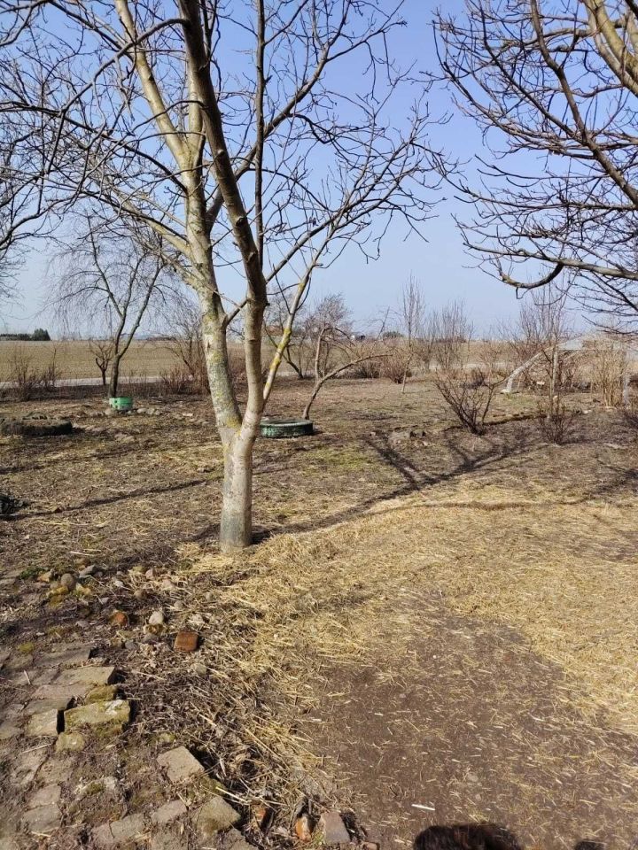 gospodarstwo Pawlikowice. Zdjęcie 5