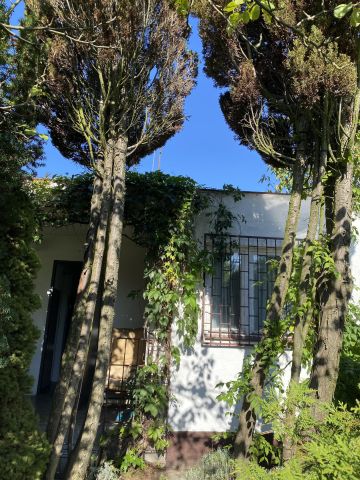 Działka rod Łódź Teofilów, Selerowa 25. Zdjęcie 27