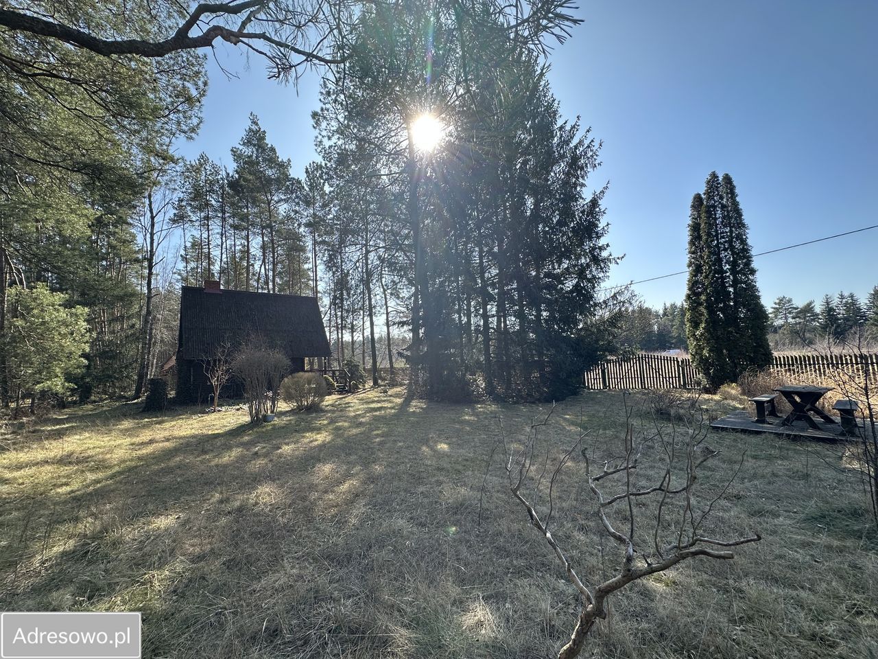 Działka rekreacyjna Kamieńczyk, ul. Kolonia Rafa. Zdjęcie 7