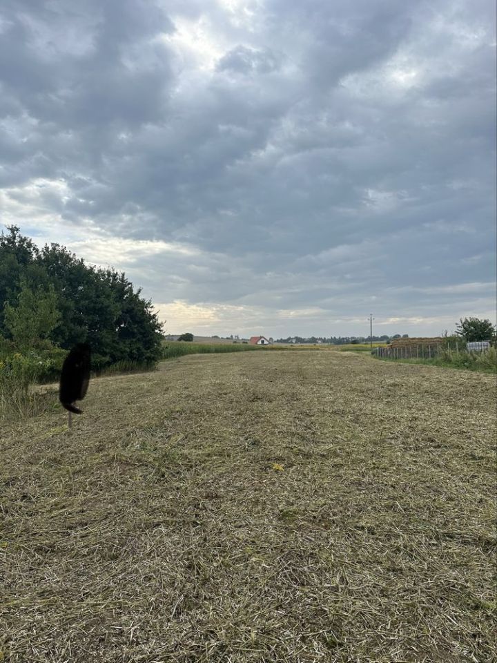 Działka rolno-budowlana Mienice. Zdjęcie 2