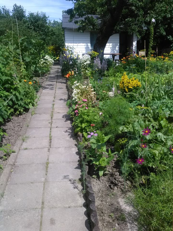 Działka rekreacyjna Koszalin Przylesie, ul. Holenderska