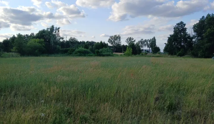 Działka budowlana Ostrzeszów, ul. Grabowska