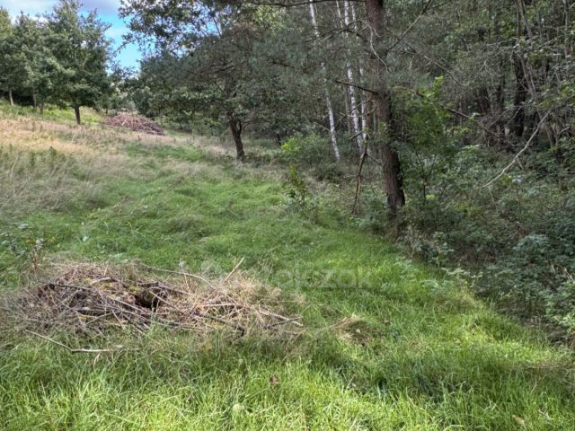 Działka budowlana Koleczkowo, ul. Jeziorna. Zdjęcie 6