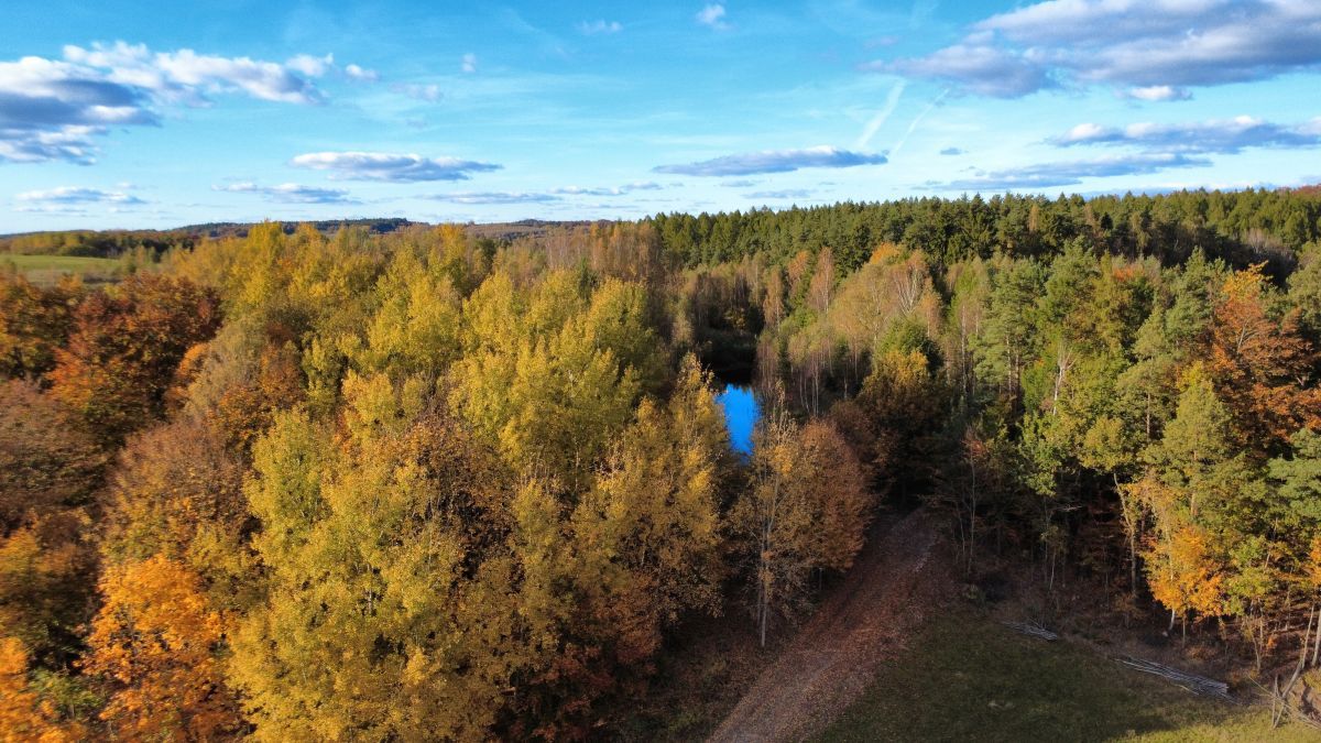 Działka budowlana Gromadzin. Zdjęcie 3