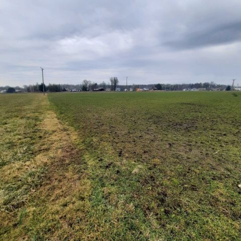 Działka rolna Krasiejów. Zdjęcie 1