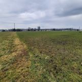 Działka rolna Krasiejów