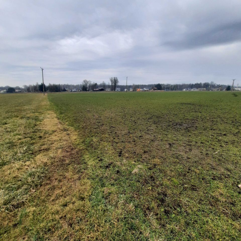 Działka rolna Krasiejów