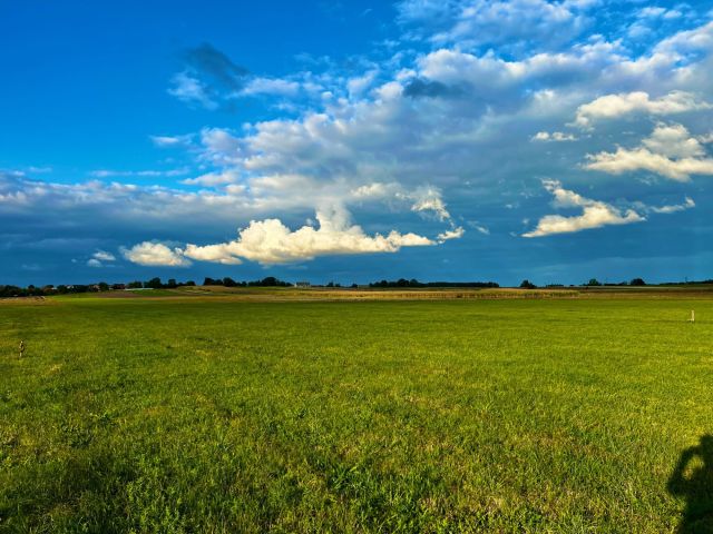 Działka rolna Badrzychowice. Zdjęcie 1