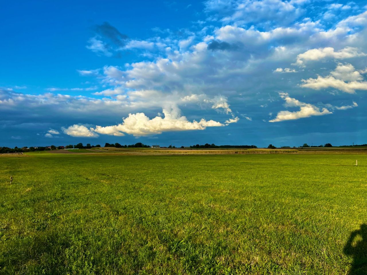 Działka rolna Badrzychowice
