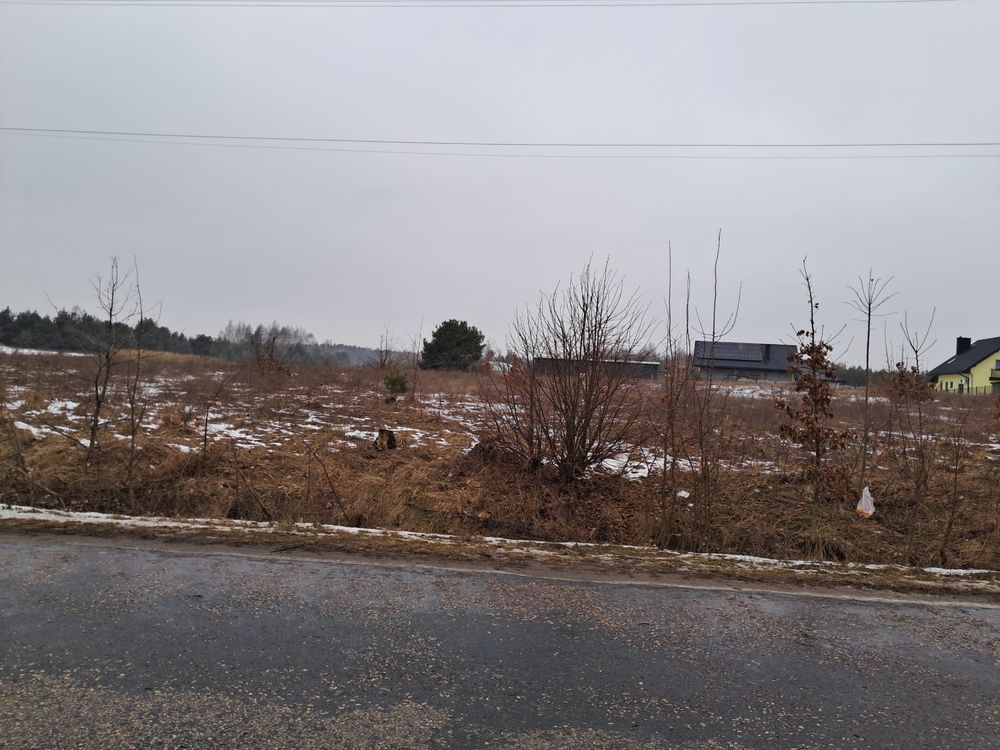 Działka rolno-budowlana Stużno. Zdjęcie 2