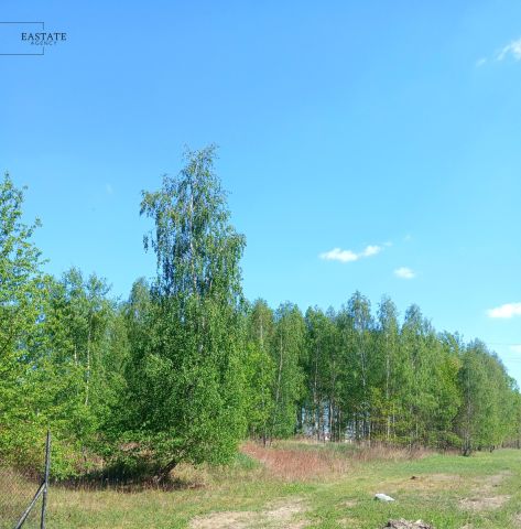 Działka budowlana Koryta. Zdjęcie 5
