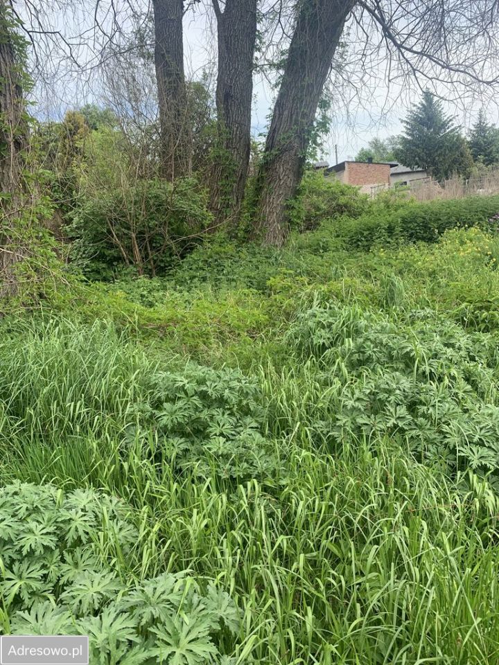 Działka budowlana Krzepice, ul. Dolna. Zdjęcie 4