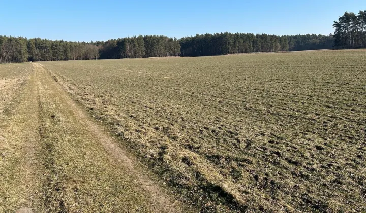 Działka rolna Dąbrówka