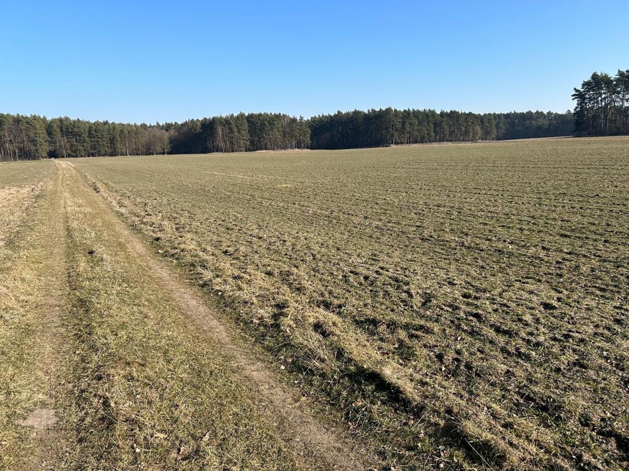 Działka rolna Dąbrówka. Zdjęcie 1