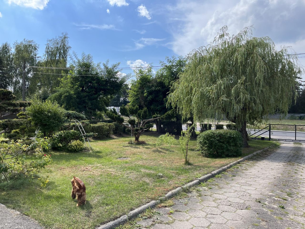 inny, 11 pokoi Skępe, ul. Sierpecka. Zdjęcie 8