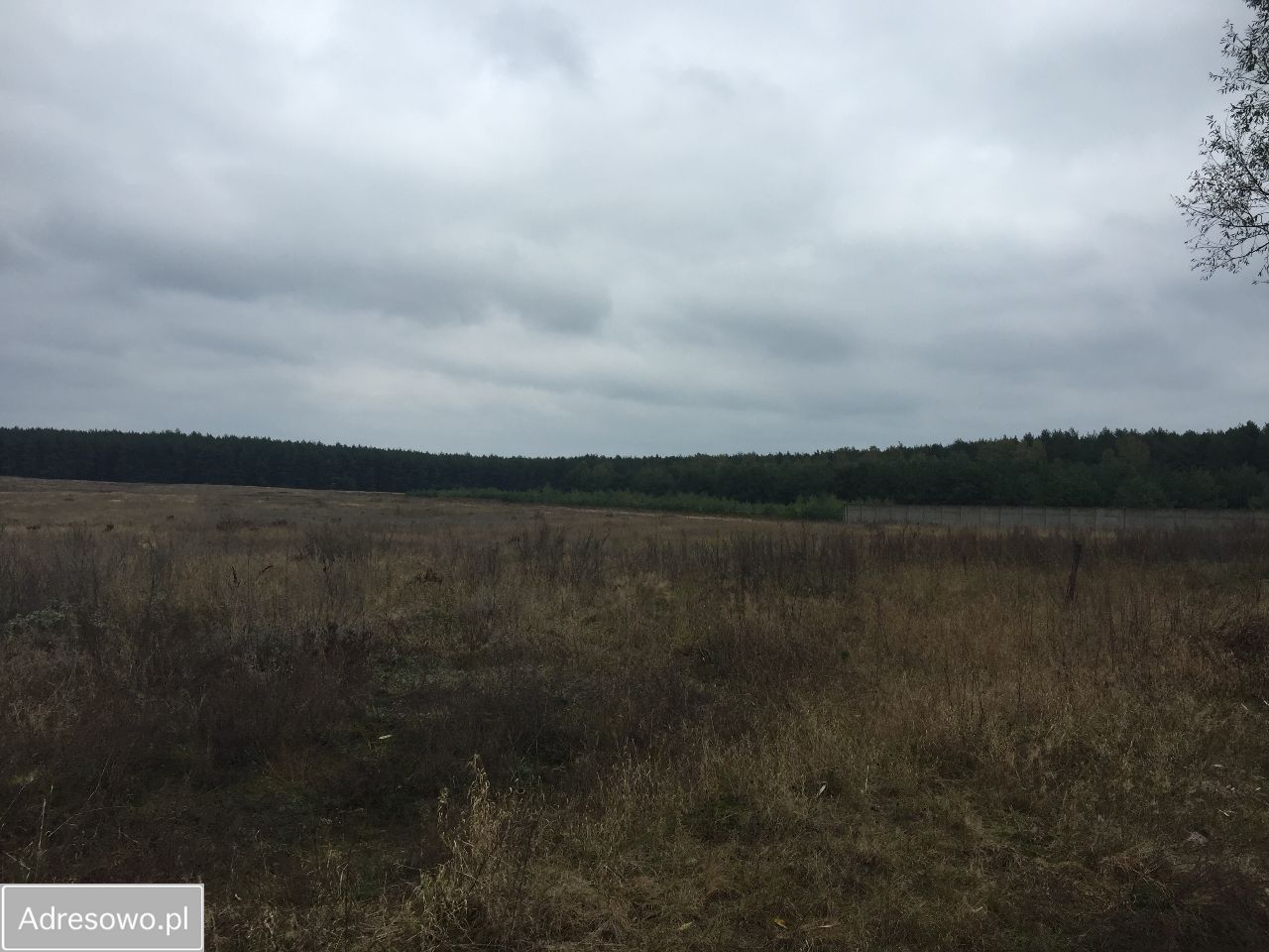 Działka budowlana Łowyń. Zdjęcie 7