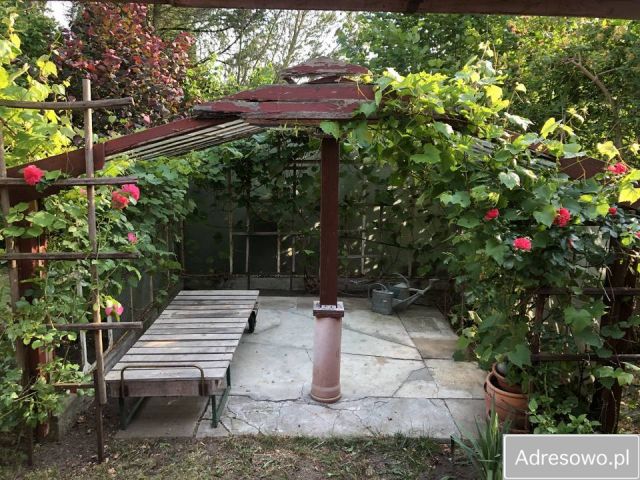 Działka rekreacyjna Bogatka. Zdjęcie 1