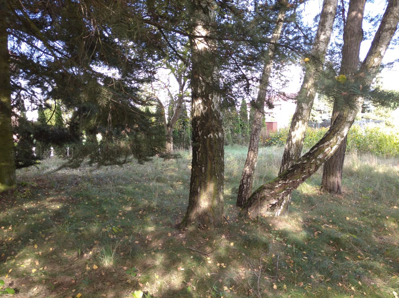 dom wolnostojący, 3 pokoje Oblasy. Zdjęcie 9