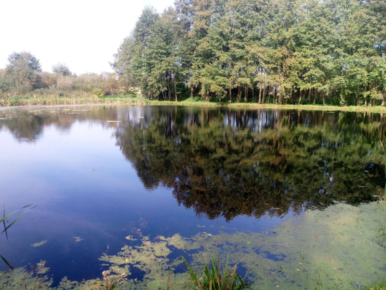 dom wolnostojący, 4 pokoje Stara Wieś-Kolonia. Zdjęcie 3