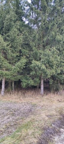 Działka Nowogrodziec. Zdjęcie 1