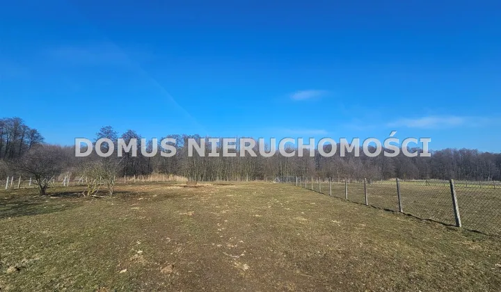 Działka siedliskowa Lubiska