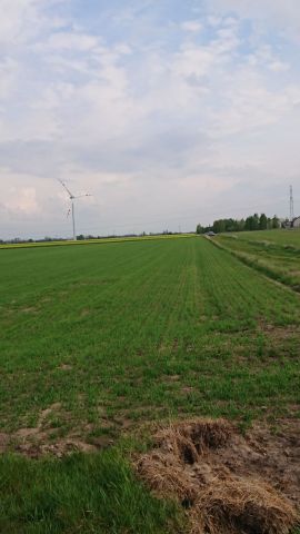 Działka rolna Uhnin. Zdjęcie 1