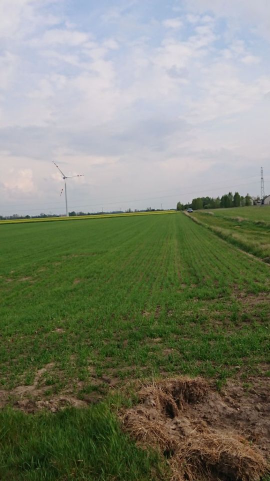 Działka rolna Uhnin. Zdjęcie 1